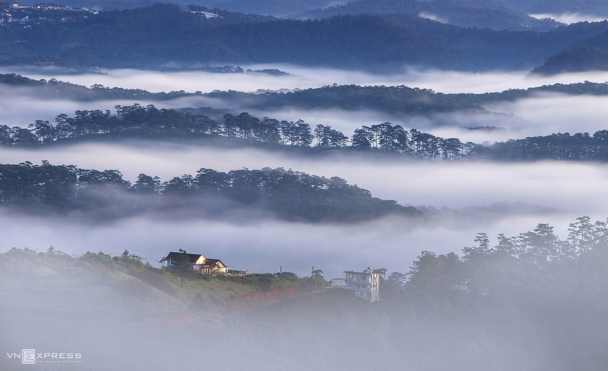 Admiring the mysterious beauty of da lat in early winter